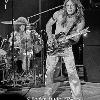 Mark Farner
